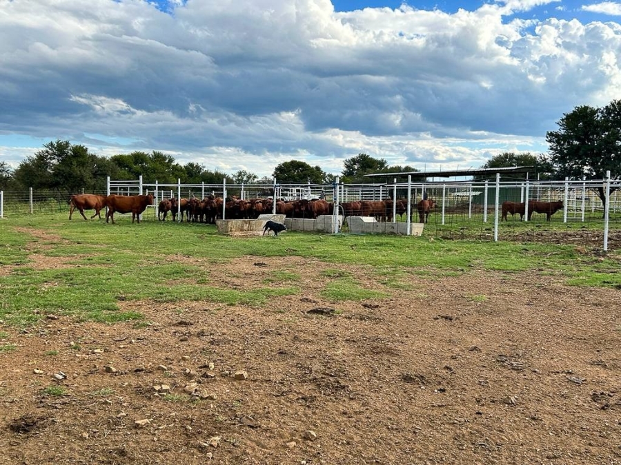 3 Bedroom Property for Sale in Potchefstroom Rural North West